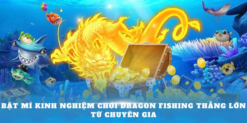 Bật mí kinh nghiệm chơi Dragon fishing thắng lớn từ chuyên gia