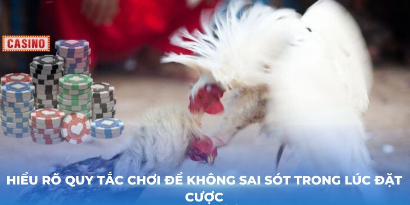 Hiểu rõ quy tắc chơi để không sai sót trong lúc đặt cược